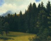 阿尔伯特 比尔施塔特 : Mountain Resort